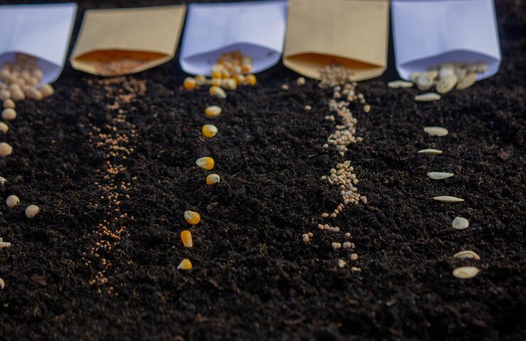 Seed Processing for Propagation